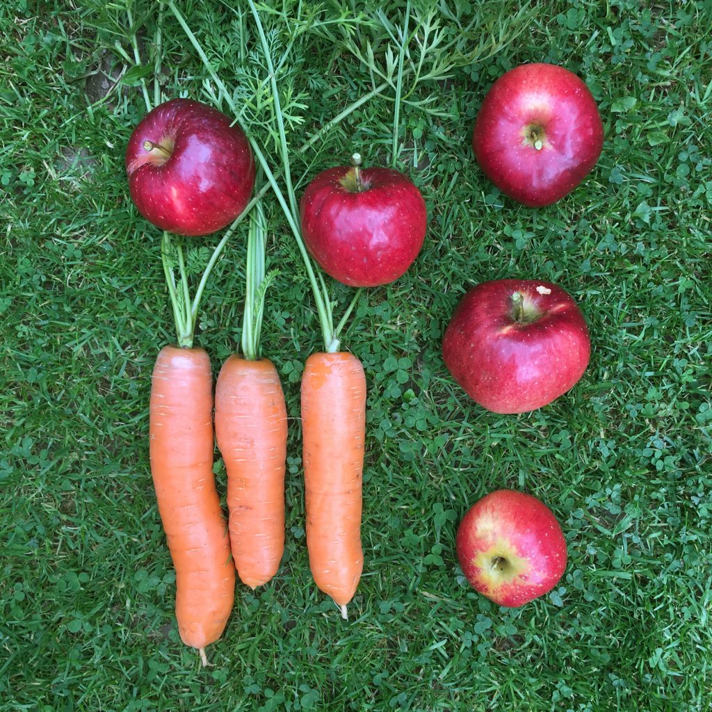 Harvest 14/10/17