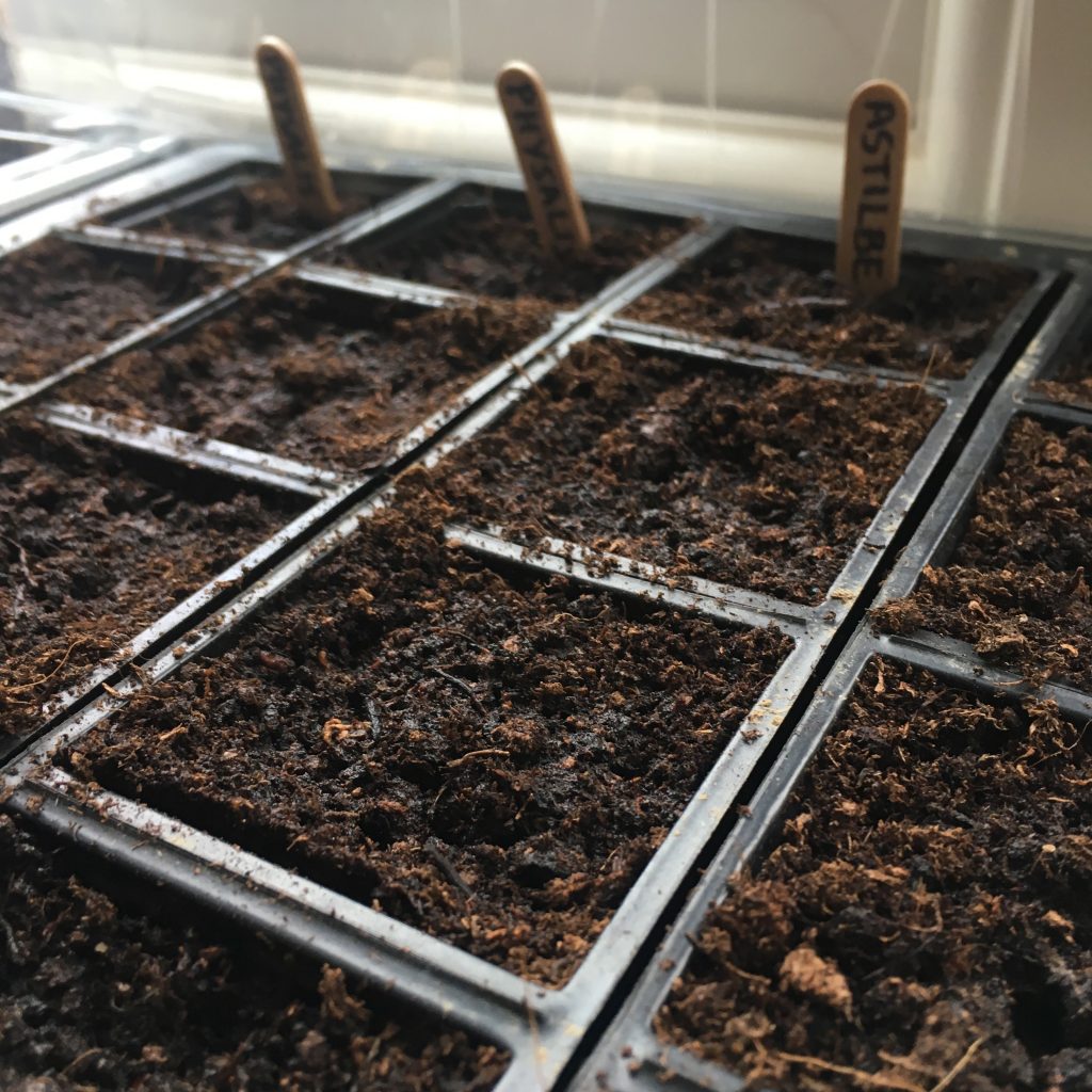 Seeds 2018