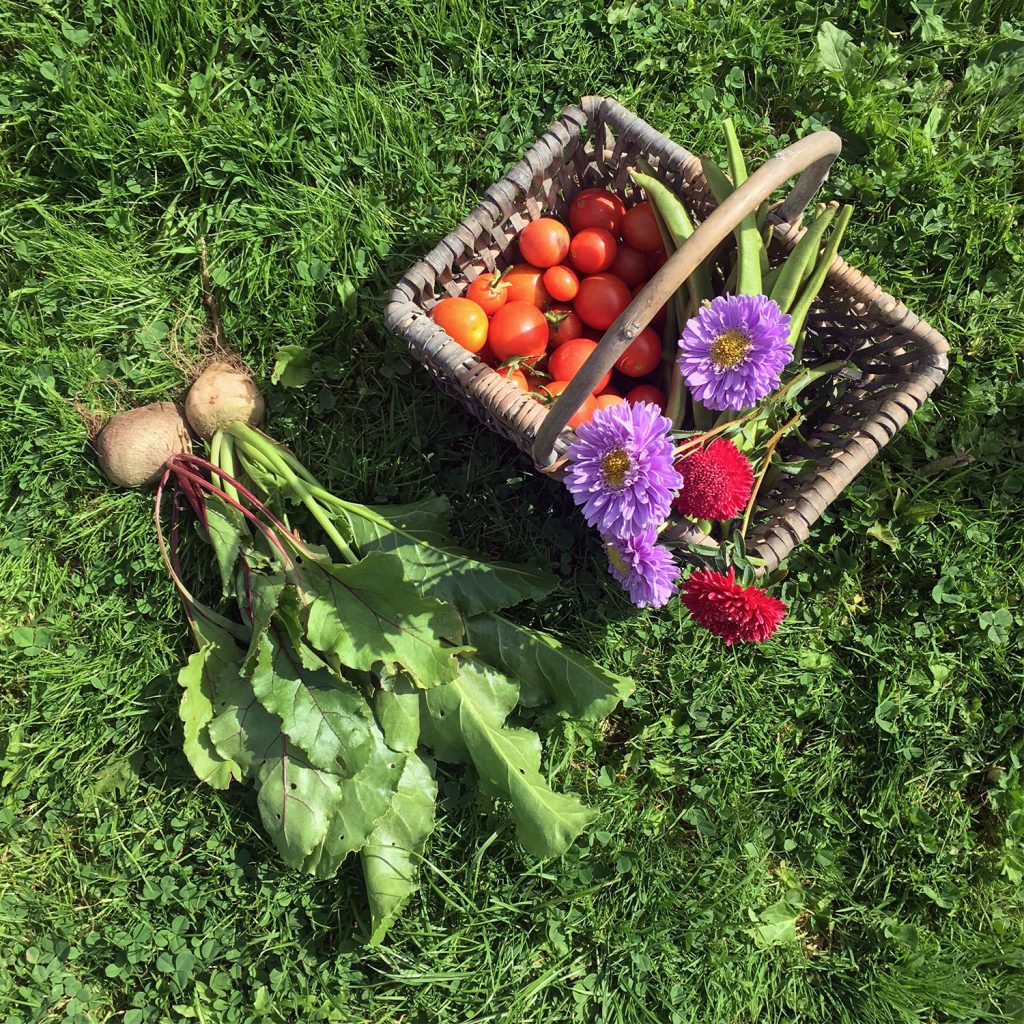 Harvest 14/9/18