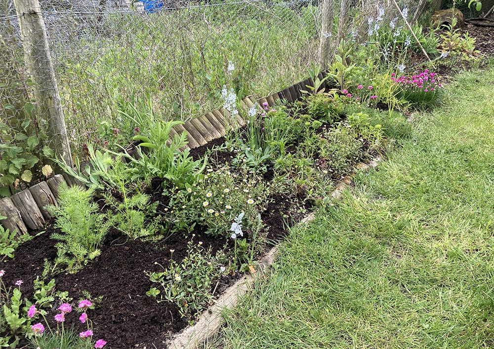 Ledge weeded and sown