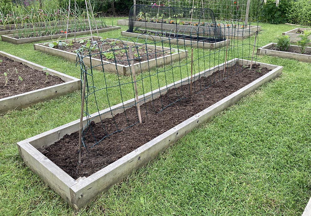 Tomato fence ready