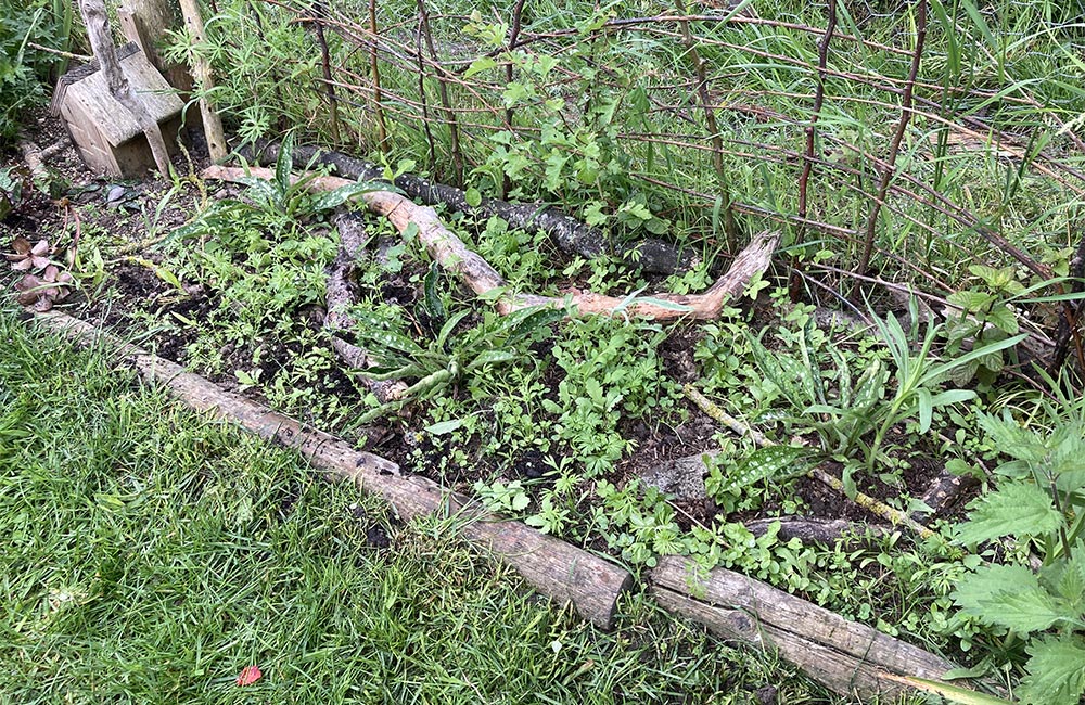 Woodland corner