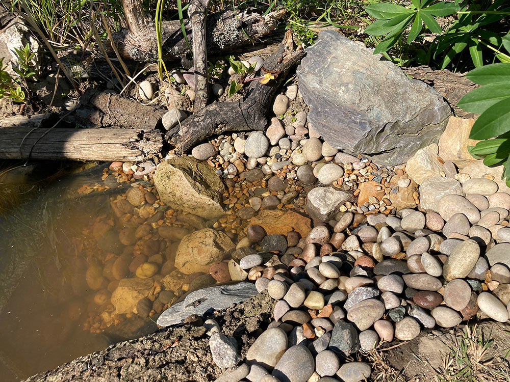 Pond beach renovation