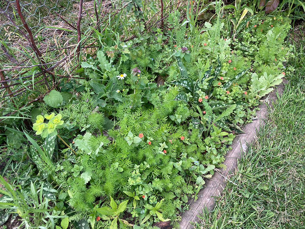 Woodland bed
