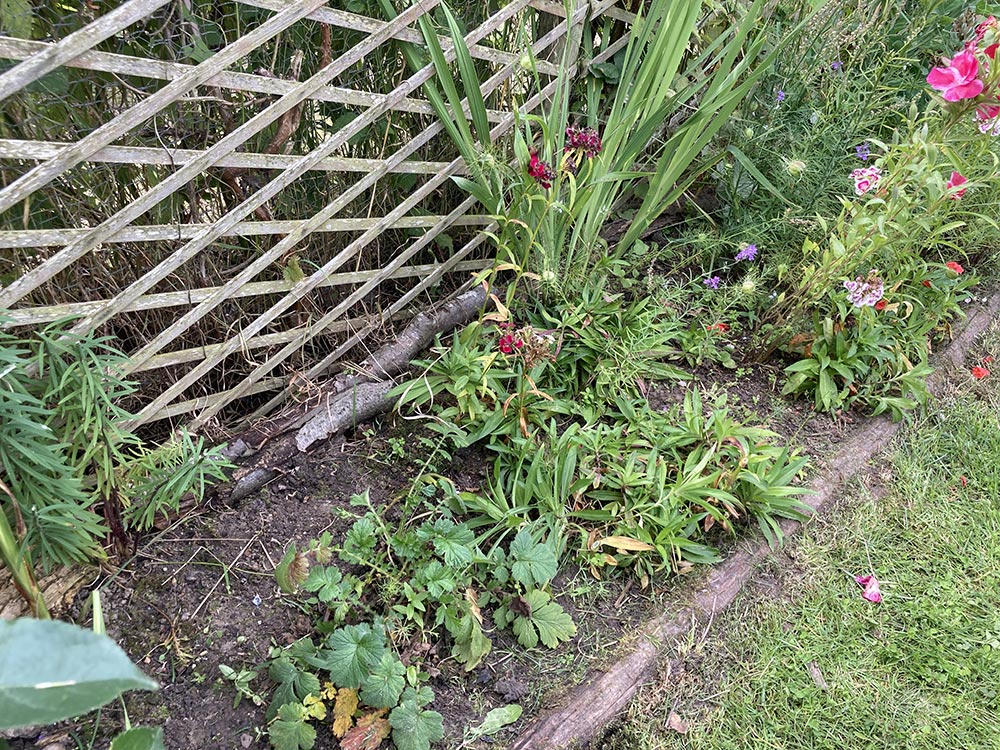 Trellis bed clearing