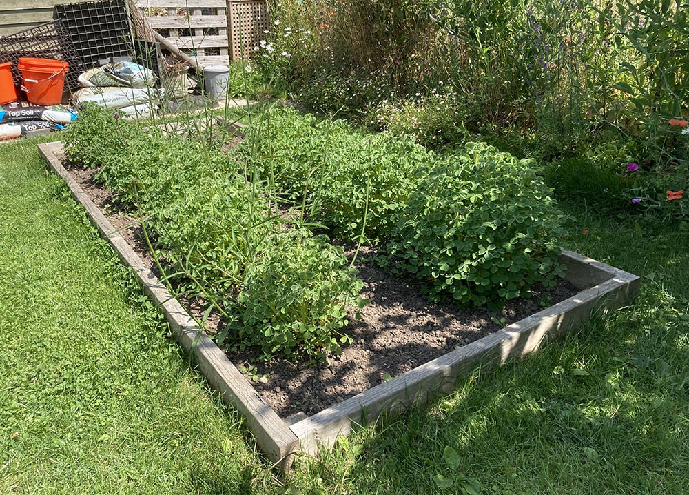 Bed 11