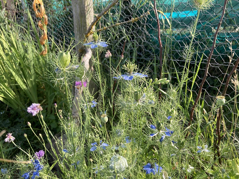Woodland beds