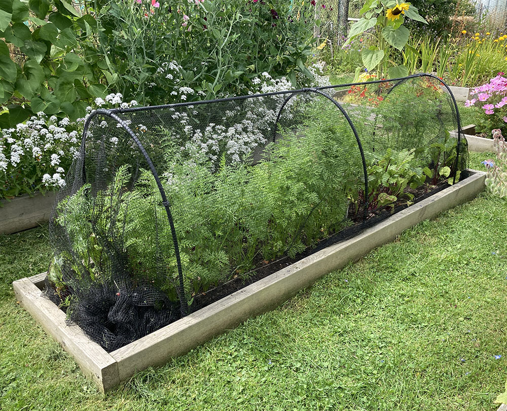 Veg bed