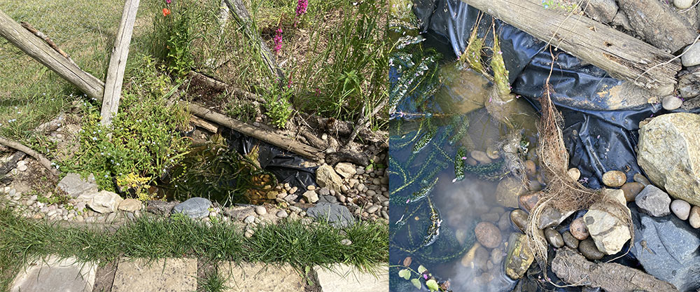 Pond repair
