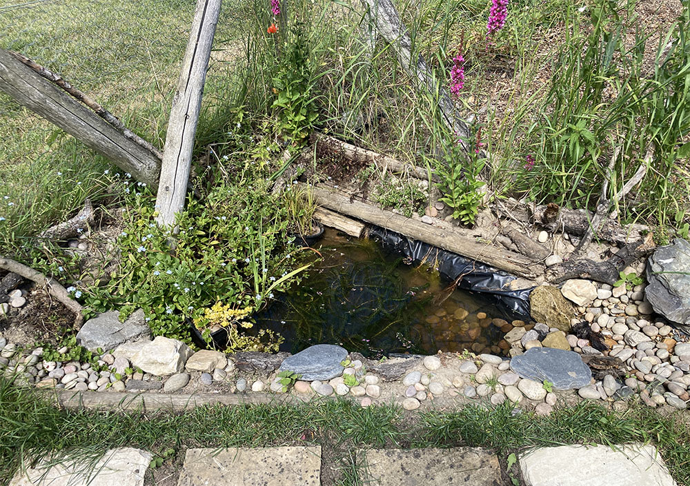 Refilled pond