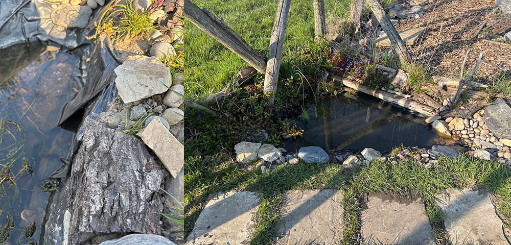 Pond repair