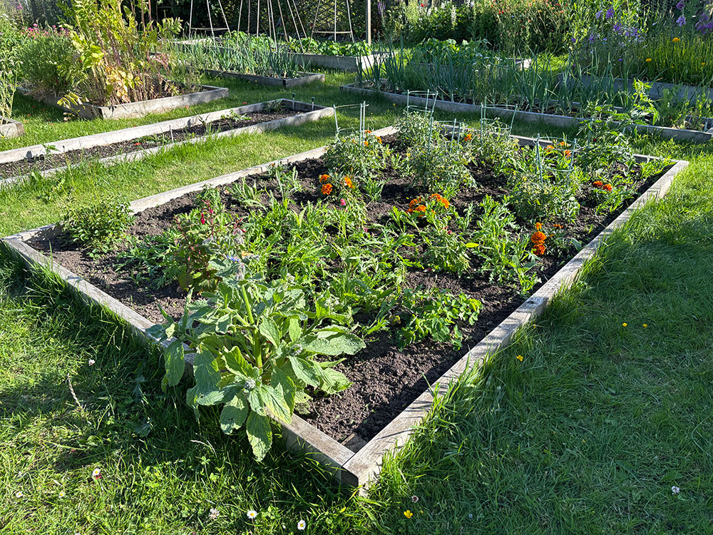 Bed 1 weeded