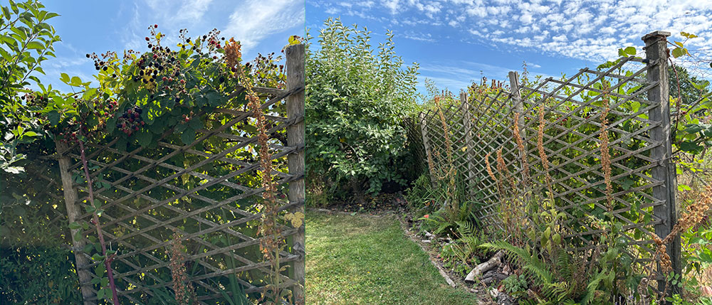 Bramble work