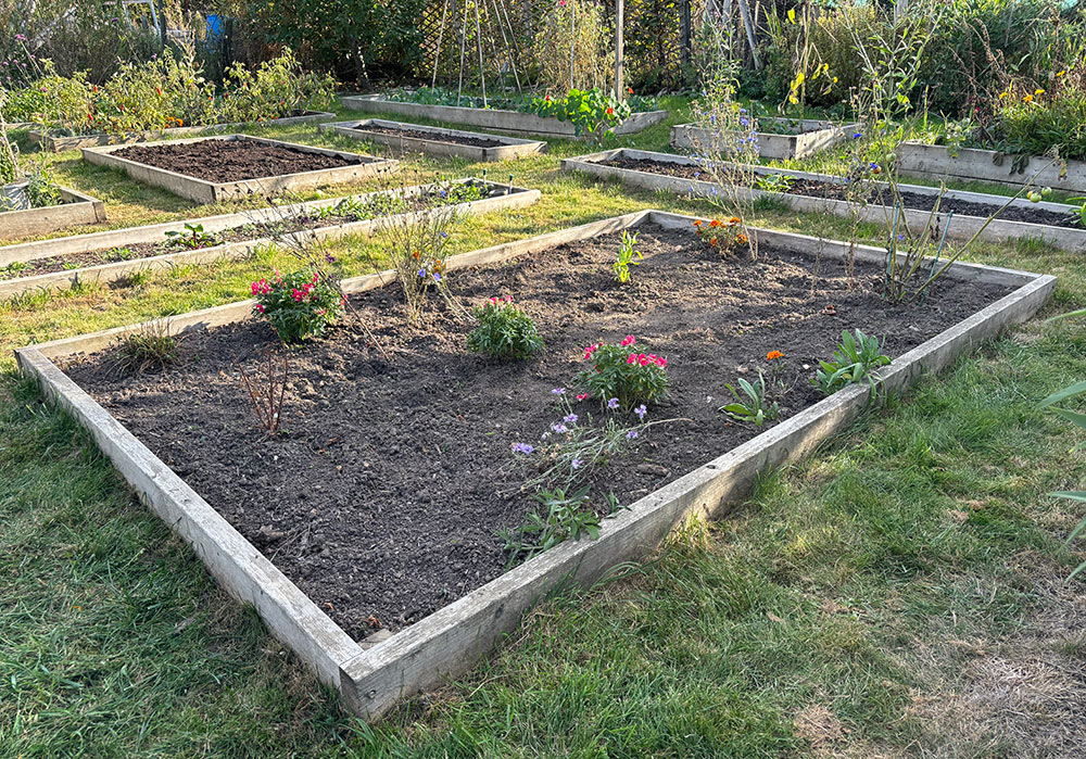 Bed 1 weeded