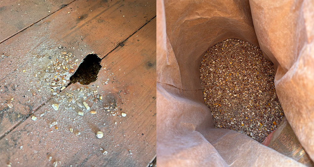 Hole in the shed floor